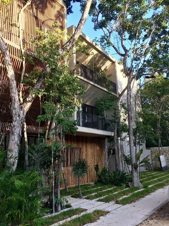 Acinte By Endemico Aparthotel Tulum