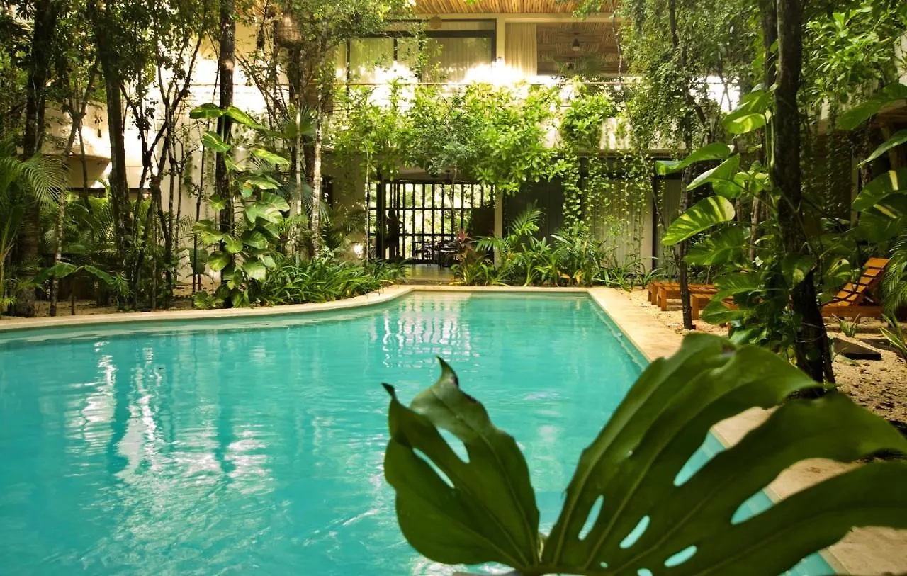 Aparthotel Acinté by Endémico à Tulum