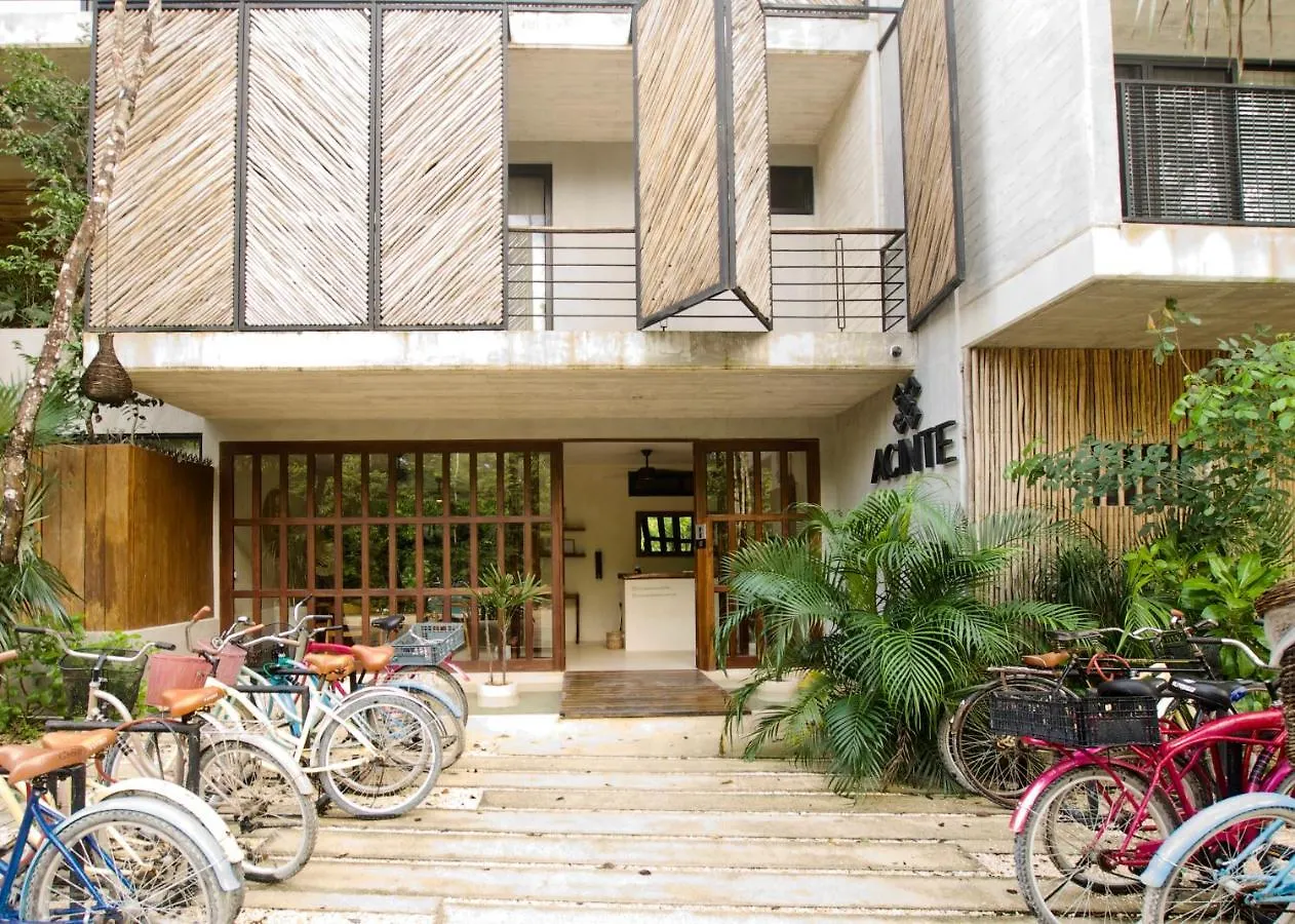 **  Acinte By Endemico Aparthotel Tulum Mexico