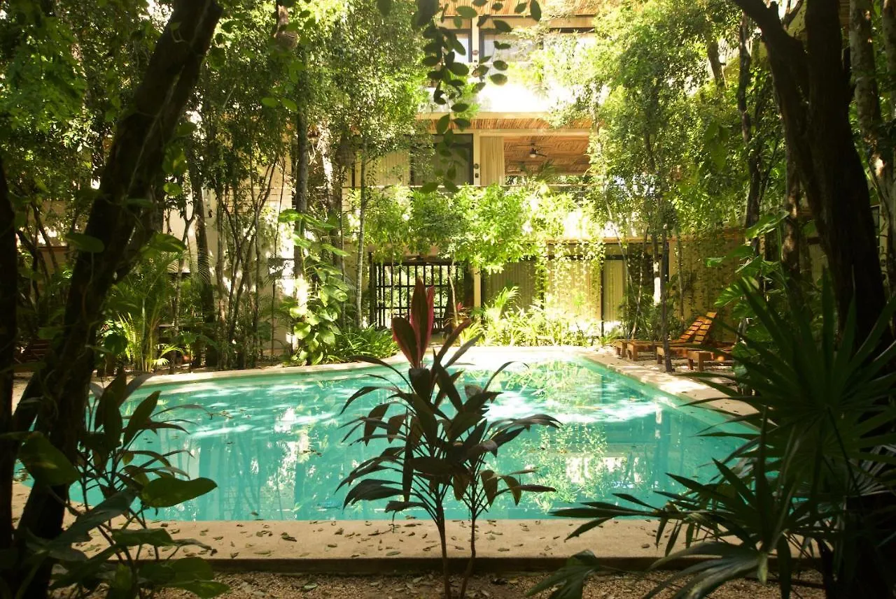 Acinte By Endemico Aparthotel Tulum 2*,