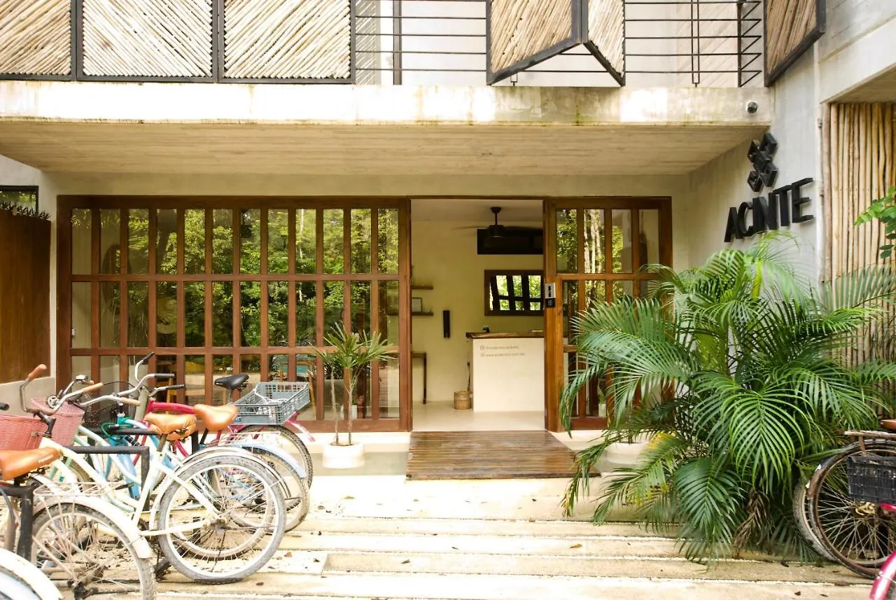 Acinte By Endemico Aparthotel Tulum